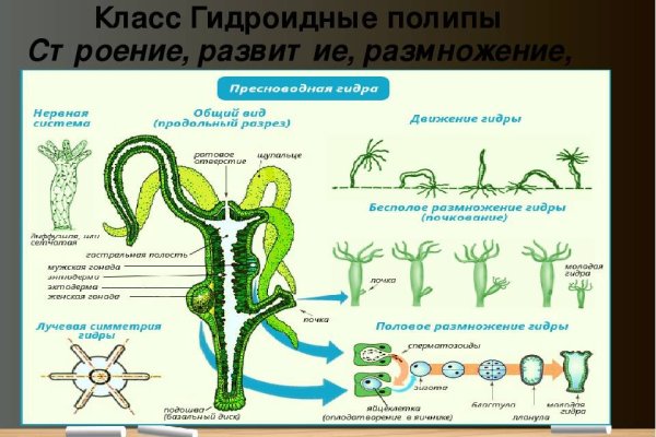 Kraken ссылка зеркало krakentor site